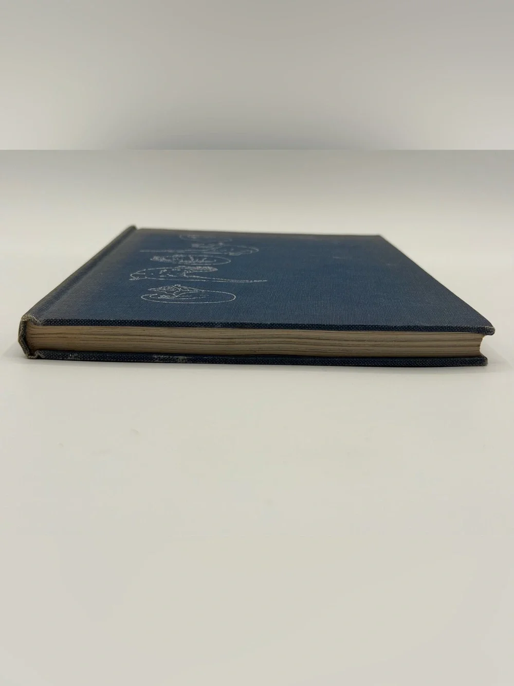 The Otter's Tale by Gavin Maxwell (Hardcover Book, 1962) First Edition